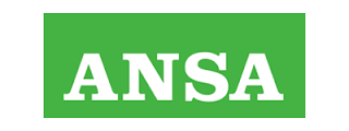 ansa